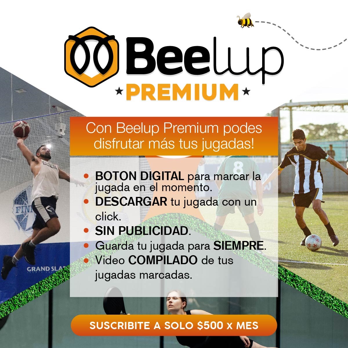 Interfaccia di Betlive Casino